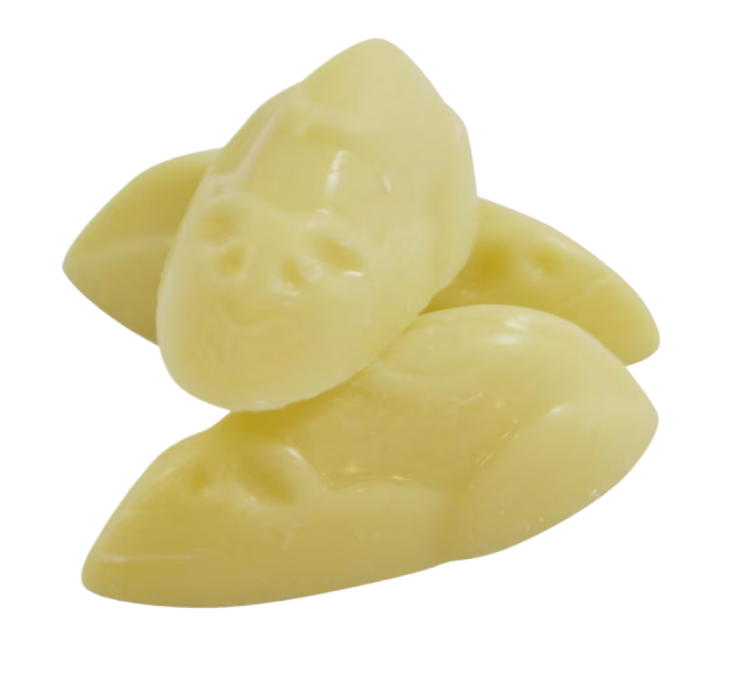 Hannah’s white mice