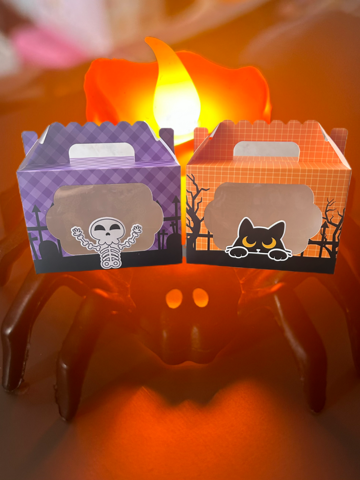Halloween Treat Boxes filled with sweets & treats.