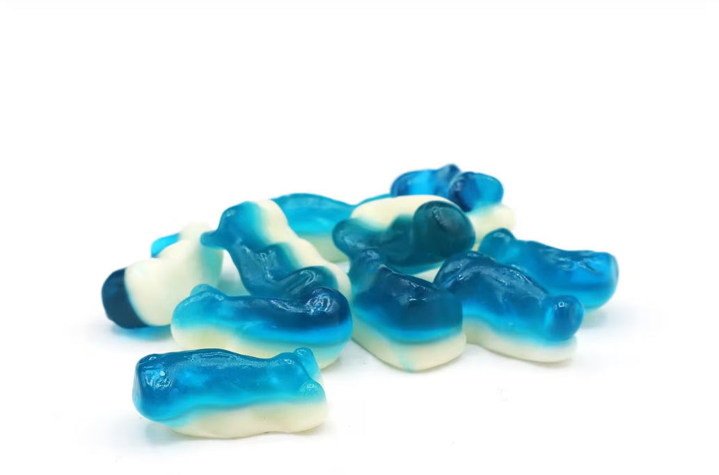 Mini Dolphins
