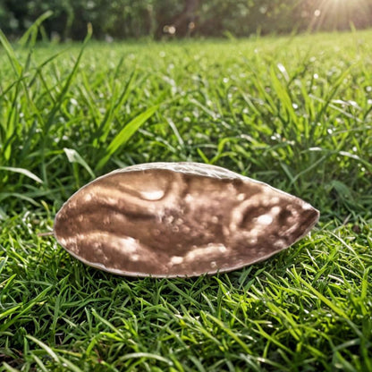 Chocolate flavour mice