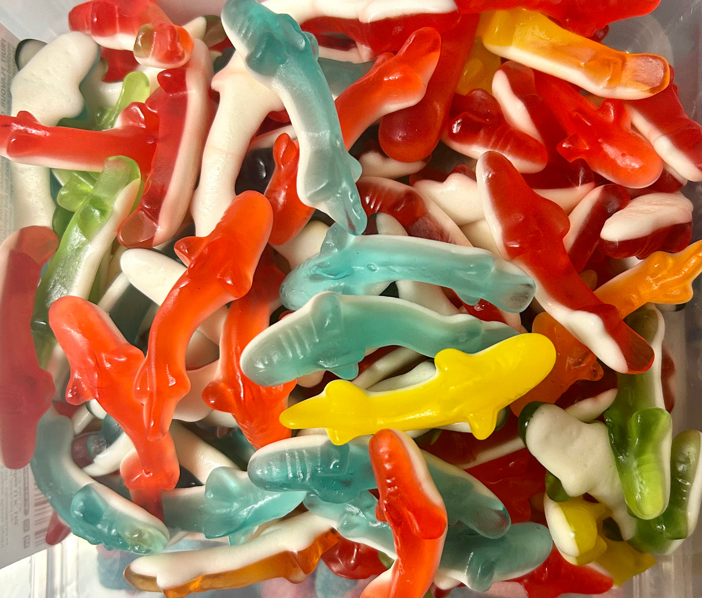 Jelly sharks